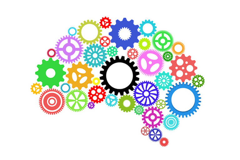 Cervello e funzioni cognitive 