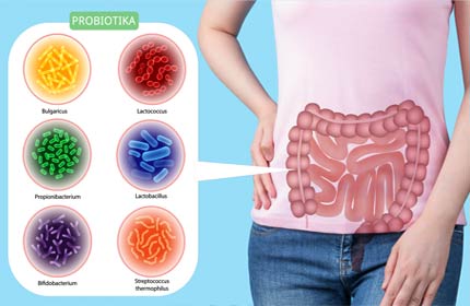 Probiotika-Lexikon: Bakterienstämme und ihre Gesundheitsvorteile