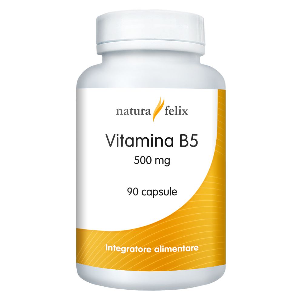 natura felix Vitamina B5-Natura Felix-0