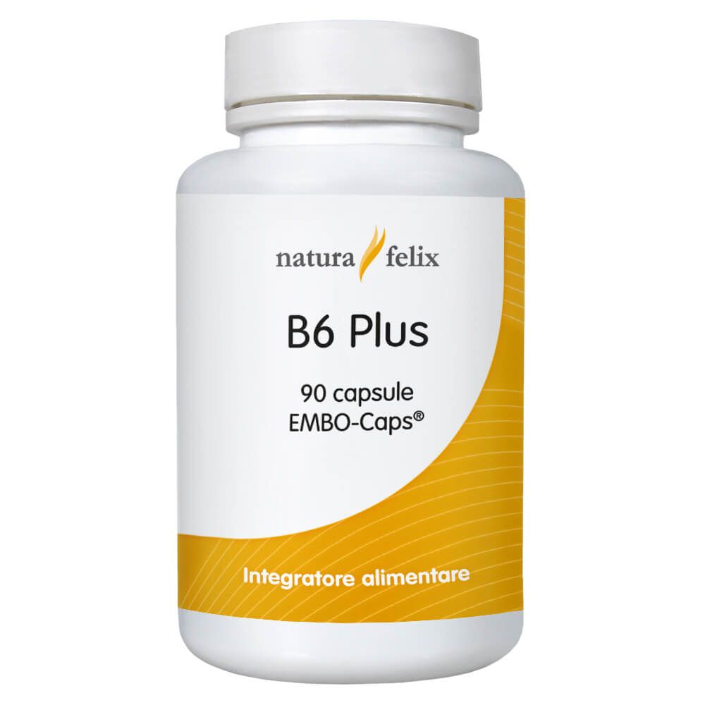 natura felix Vitamina B6 Plus-Natura Felix-0